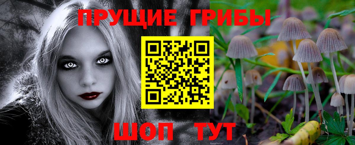 Галлюциногенные грибы GOLDEN TEACHER Ростов-на-Дону