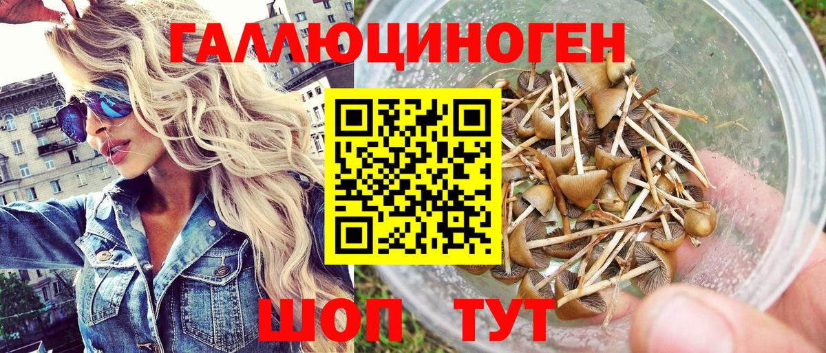 Псилоцибиновые грибы ЛСД  Псилоцибиновые грибы Cubensis  Ростов-на-Дону  Вход с VPN 